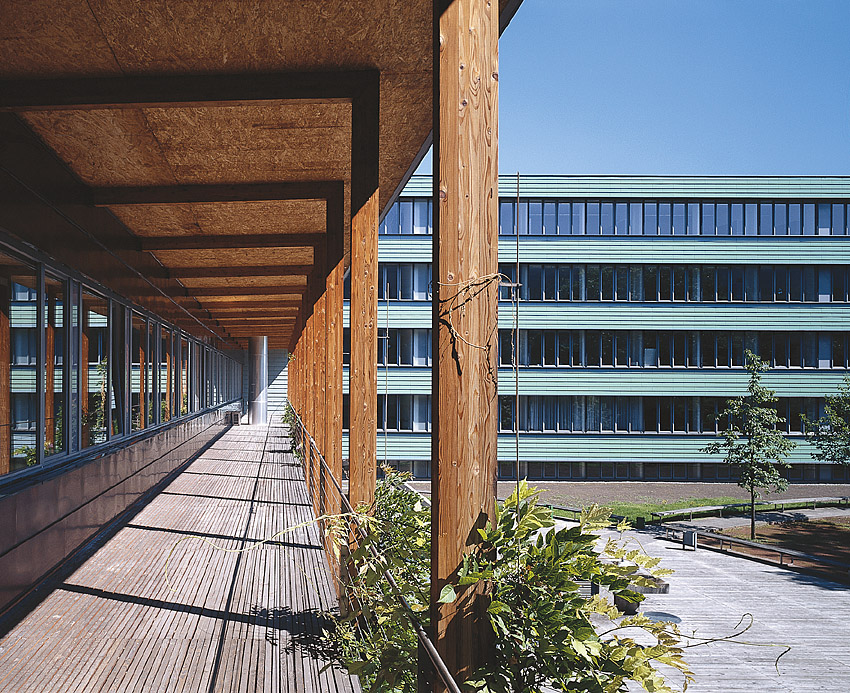 Pura Vida Privatschule St. Gallen - Projekttage